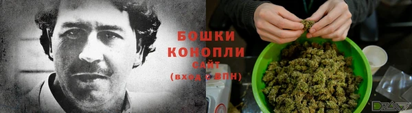 ALPHA-PVP Новозыбков