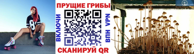 Галлюциногенные грибы мухоморы  Ртищево 